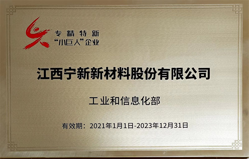 国度级专精特新幼巨人企业