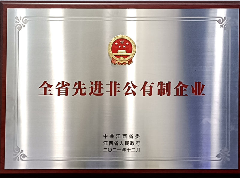 全省先进非公有造企业